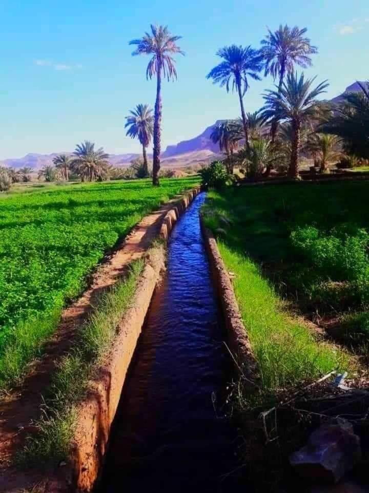 Defat Kasbah Hotell Aït Benhaddou Eksteriør bilde